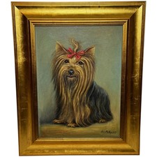 Duchesse A Yorkshire Terrier