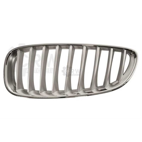 Grille radiateur titan mat - titan,