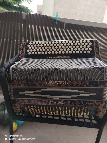 Accordéon diatonique - accordéon,