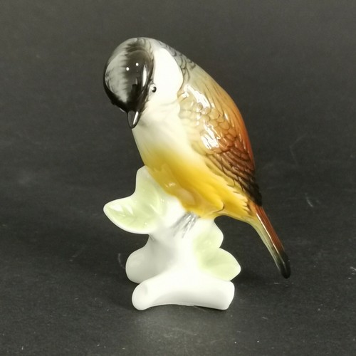Karl ens oiseau porcelaine - oiseau,