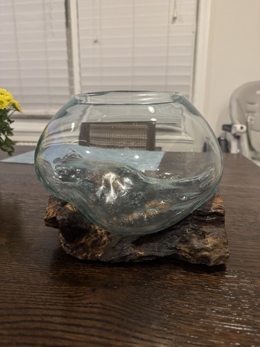 Molten glass wood terrarium - glass, on