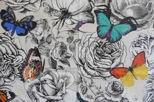 Osborne Little Butterfly