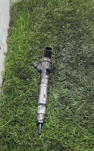 0445110096 injecteur