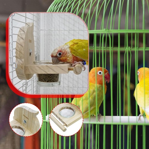 Mangeoire oiseaux pour - mangeoire,