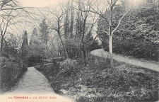 38-LA TERRASSE-LE PETIT BOIS-N
