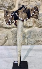  kasoar  Asmat nouvelle