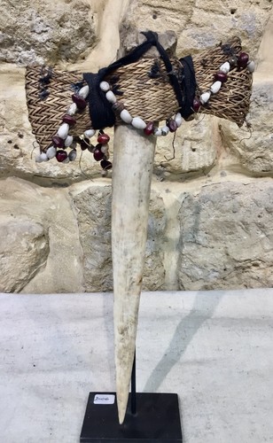 Kasoar asmat nouvelle - asmat,
