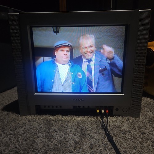 Sony trinitron 13fs100 - trinitron, 13"