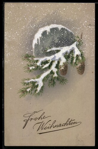 Branche sapin enneigée - de,
