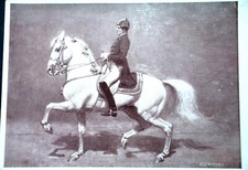 47395 AK Chevaux École Équestre Espagnole Alexander Soldat Sur Cheval Gris