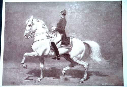 47395 chevaux école - 47395, ak