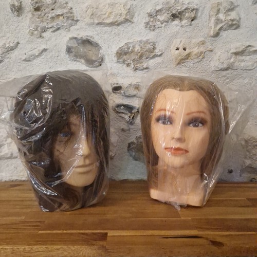 Lot tetes coiffure etude - tetes,