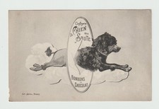 Advertising Confiserie DU CHIEN QUI JAUTE POSTCARD 3217