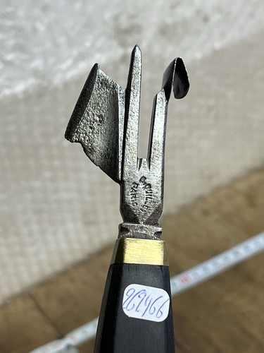 Rainette marquage forestier - rainette,