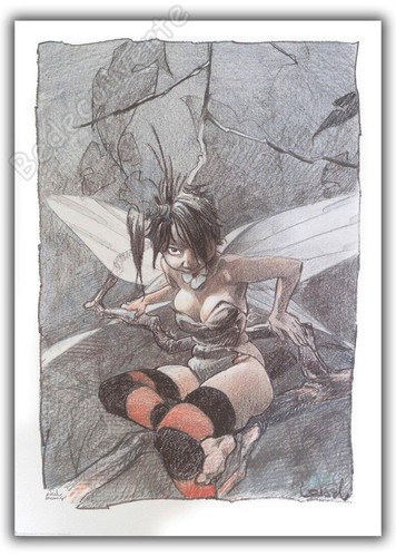Affiche loisel régis fée - affiche,
