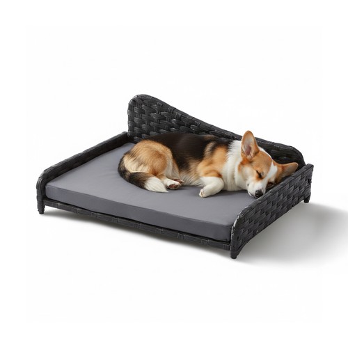 Lit pour chien canapé - lit, chien,