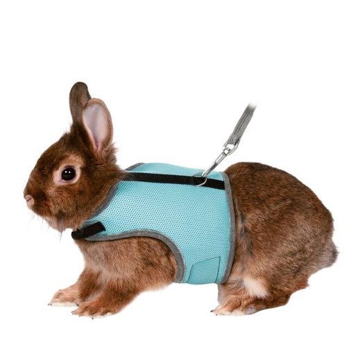 Harnais doux pour lapin - , nain
