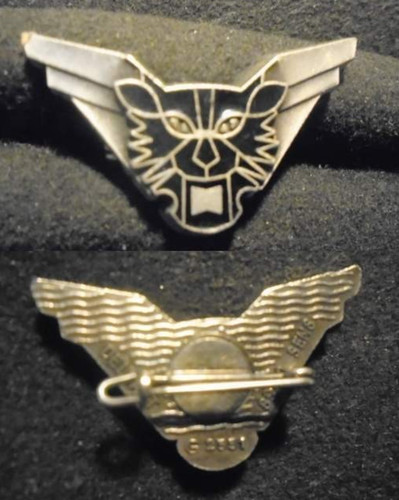 Insigne militaire 5 - insigne, 5°