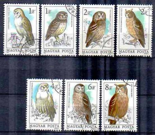 Animaux oiseaux rapaces - oiseaux,
