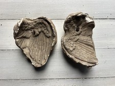 Ailes D’ange En Plâtre XIXe