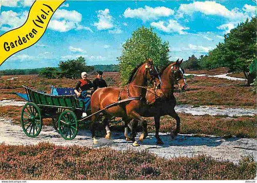 Carte postale animaux - postale,
