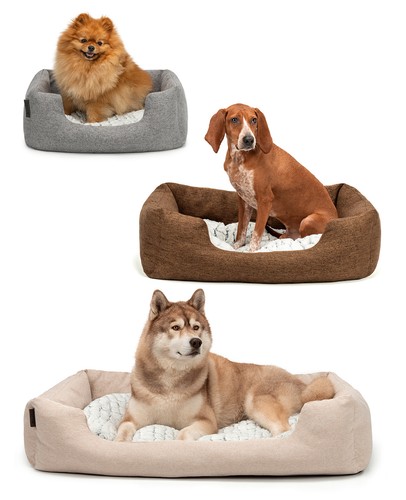 Lionto lit confortable pour - lit,