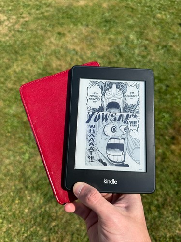 Amazon kindle paperwhite - paperwhite, 6th