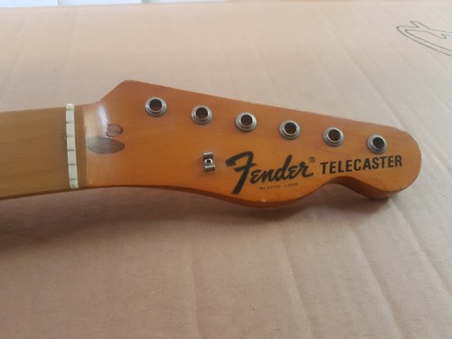 1969 fender telecaster maple - fender,