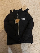 manteau homme The north face 