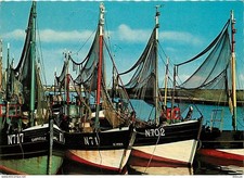 Carte Postale - Belgique -