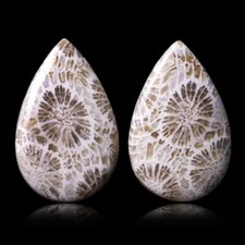 ★☆ Indonesian 15.50CT FOSSIL CORAL - 21.9mm - GEM-BC2376 ☆★