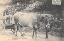 CPA 65 LES PYRENEES /
