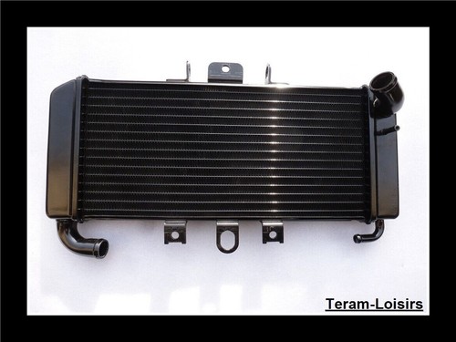 Radiateur pour yamaha fzs - pour,