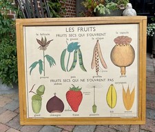 ancienne affiche scolaire