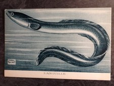 ILLUSTRATED CP SIGNED RAOUL GUINOT L'ANGUILLE - FISH - 51477