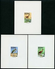 COTE D'IVOIRE oiseaux, birds