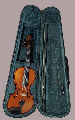 Ensemble primavera violon - ensemble,
