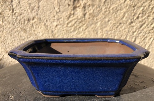 Pot bonsaï gré - pot,