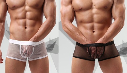 Boxer transparent filet l - s, m