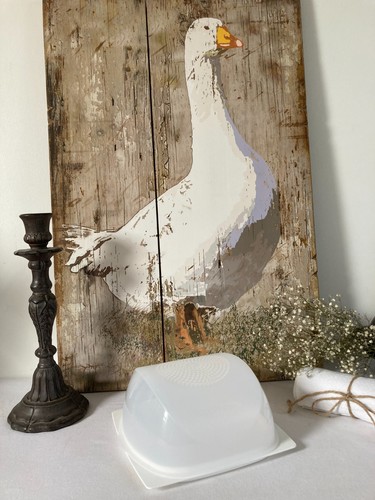 Petite boîte cloche à - boîte,