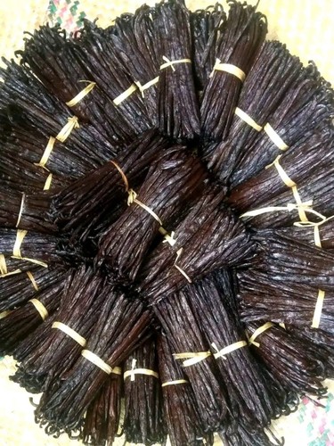 Gousses vanille de - 20,