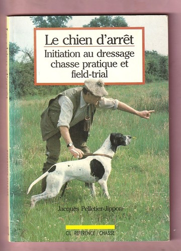 Chien arret dressage - chien,