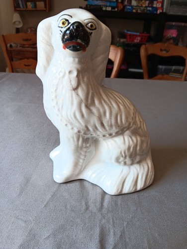 Ancien chien staffordshire - chien, en