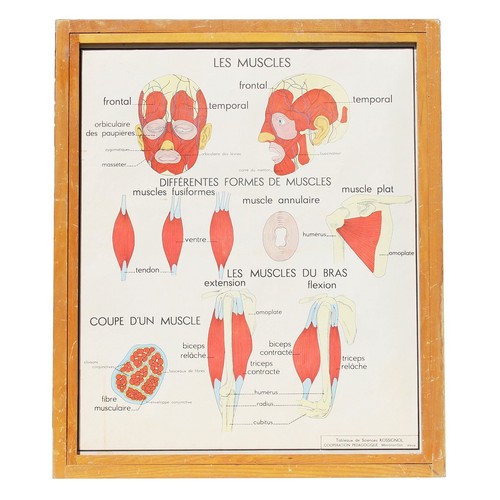 Affiche pédagogique scolaire