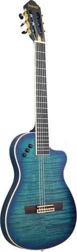 Guitare électro classique - Électro,