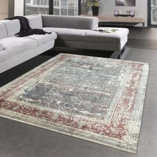 Tapis Oriental en Aspect Soie