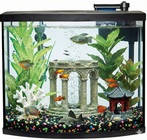 Complete gallon aquarium - complete,