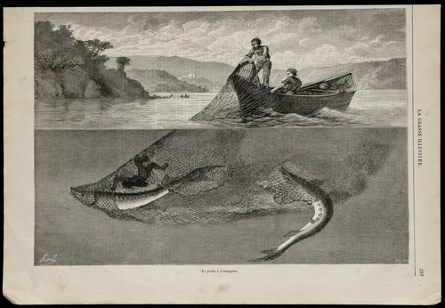 1869 pêche à - 1869, la