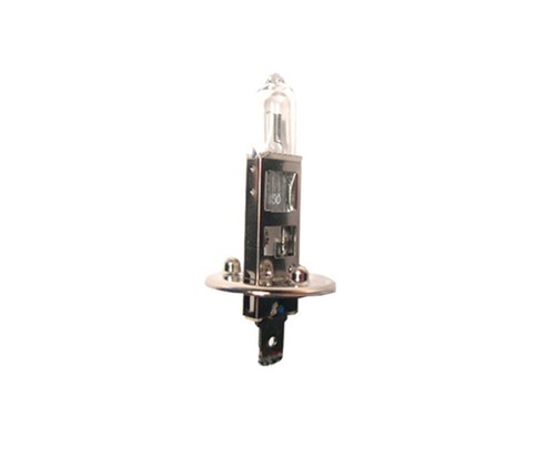 Ampoule 12v 55w socle - h1,