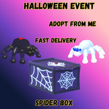 Adopt Your Black Widow, Chilling Spider & Spider Boxes – Fast Delivery
